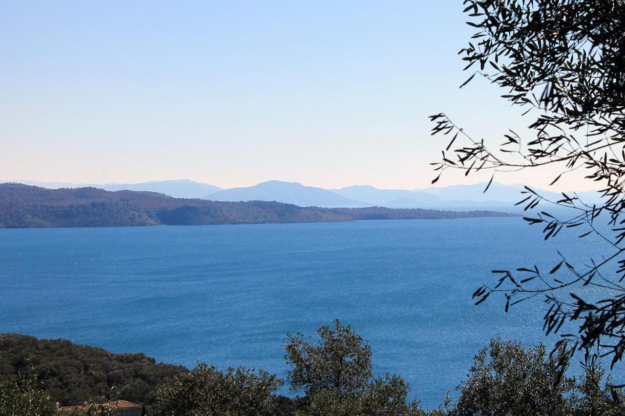 Pearl Daire Gimari Dış mekan fotoğraf